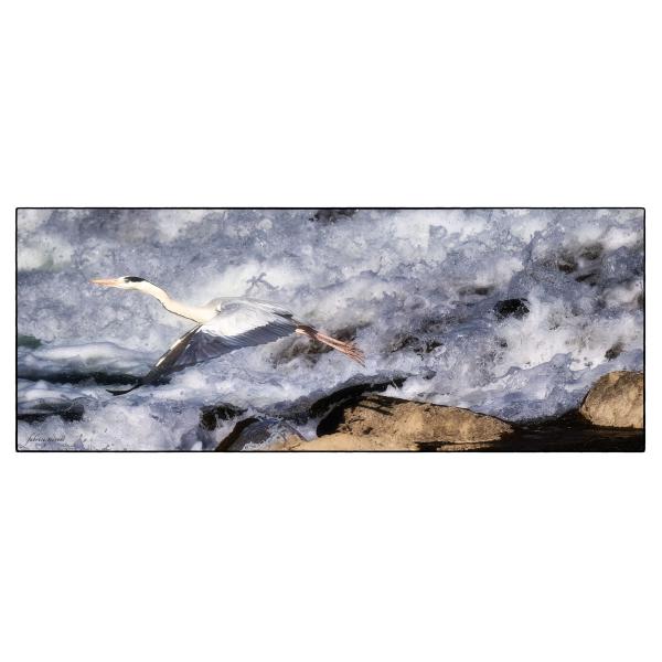 PHOTO84, CLUB, 84 , LUBERON